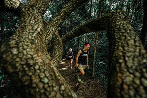 BIB: 
                            <button type="button" onclick="openModal(25701380)" class="btn btn-primary btn-sm float-right btn-popup" data-toggle="modal" data-target=".modal-high-quality">
                        <i class="fas fa-shopping-cart"></i> Add to Cart
                    </button>
                                            <button type="button" onclick="isThisMe(25701380, true)" class="btn btn-success btn-sm float-right btn-popup btn-isme hidden" data-toggle="tooltip" data-placement="bottom" title="นี่คือรูปของคุณใช่ไหม คลิกที่นี่เพื่อเอาเข้าอัลบั้ม">
                        <i class="fas fa-plus"></i> Add to album
                    </button>
                    <button type="button" onclick="isThisMe(25701380, false)" class="btn btn-warning btn-sm float-right btn-popup btn-isnotme hidden">
                        <i class="fas fa-ban"></i> Remove from album
                    </button>